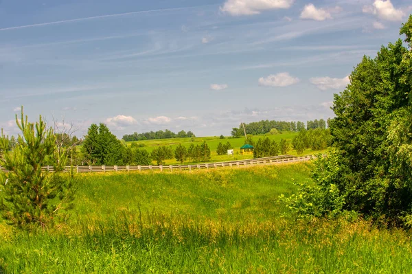 Letni Krajobraz Wąwozy Łąki Zielone Trawy Letniego Krajobrazu Europejska Część — Zdjęcie stockowe