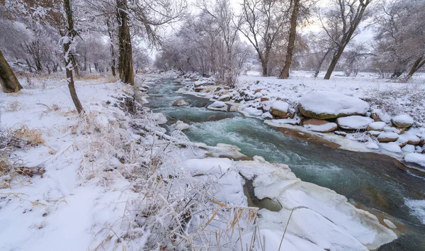 Rivier Bevriest Winter Een Echt Wintersprookje Als Deze Prachtige Rivier — Stockfoto