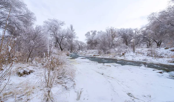 River Freezes Winter Winter River Turns Real Wonderland You Have — Stock Photo, Image