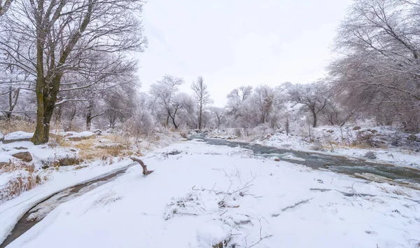 Річка Замерзає Взимку Моя Улюблена Зимова Річка Тиша Лісі Була — стокове фото