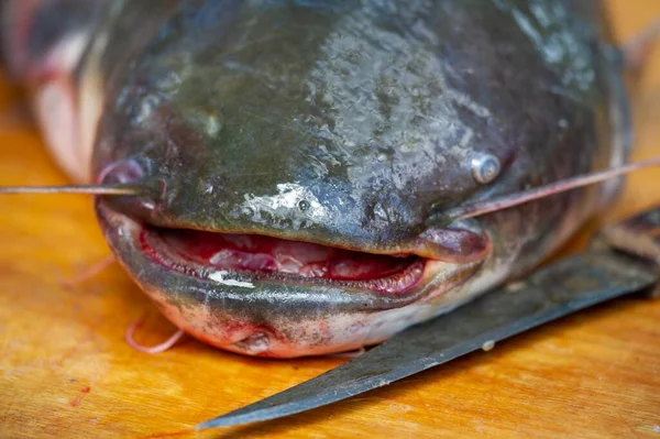 Ryby Jsou Připraveny Jídlu Jedná Vodní Chladnokrevné Obratlovce Žijící Jak — Stock fotografie