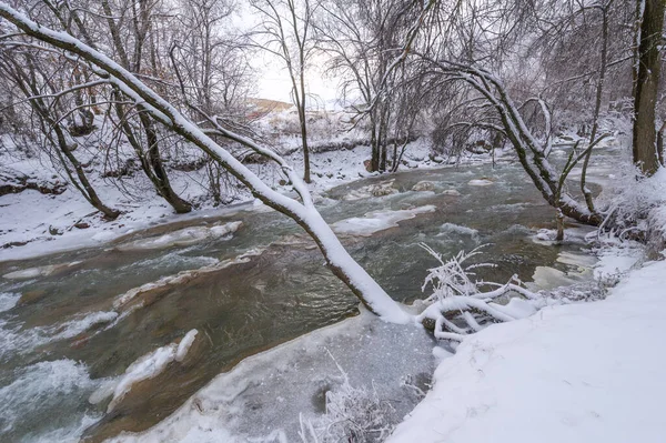 这条河在冬天结冰了 在冬天 河流变成了一个真正的仙境 如果你从未经历过它的魔力 那么现在就是时候了 — 图库照片