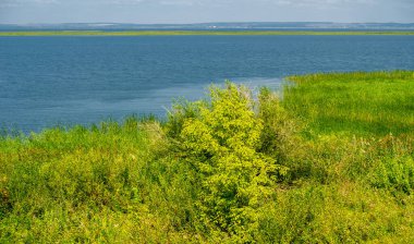 Yaz manzarası. Dünyanın Avrupa bölgesindeki bir nehir. Güneşli sıcak bir gün. Yeşil ağaçlar, çimenler. Mavi gökyüzü küçük bir bulut örtüsüyle.