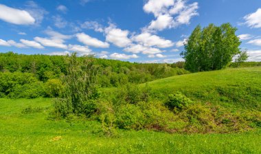 Fotoğraflarınızdaki baharın güzelliğini yakalayın çayırları, tarlaları, vadileri, tepeleri ve kırsal alanları keşfedin derin vadiler gibi gizli mücevherleri keşfedin. Doğal olarak yükseltilmiş toprak parçalarının çarpıcı fotoğraflarını çek..