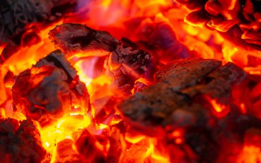 Şöminede yangın var. Atalarımız, ateşin kılıç dişli kaplanları püskürttüğünü keşfettiler ve çevrelerindeki bölge güvenli bir yer haline geldi. Sosyal bir alan haline geldi.