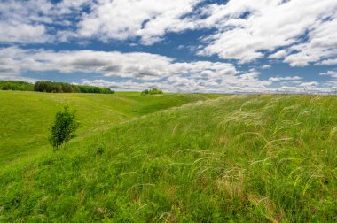 Fotoğraflarınızdaki baharın güzelliğini yakalayın çayırları, tarlaları, vadileri, tepeleri ve kırsal alanları keşfedin derin vadiler gibi gizli mücevherleri keşfedin. Doğal olarak yükseltilmiş toprak parçalarının çarpıcı fotoğraflarını çek..