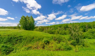 Fotoğraflarınızdaki baharın güzelliğini yakalayın çayırları, tarlaları, vadileri, tepeleri ve kırsal alanları keşfedin derin vadiler gibi gizli mücevherleri keşfedin. Doğal olarak yükseltilmiş toprak parçalarının çarpıcı fotoğraflarını çek..