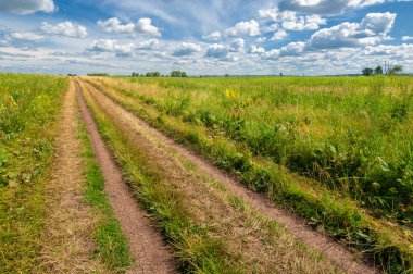 Yazın sersemletici fotoğraflarla sel basmış otlakların güzelliğini hisset. Bu yerlerin doğal harikalarını ve ekosistemler için önemini keşfedin. Mevsimsel sellerin bu hassas ortamları nasıl etkilediğini öğren..