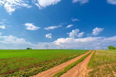 Bahar fotoğrafçılığı, buğday tarlalarındaki toprak yol. Hareket ve iletişim için tasarlanmış şerit