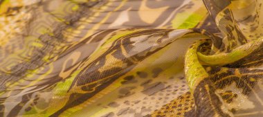 ipek kumaş, yeşil-kahverengi, soyut arka plan kumaşı veya sıvı dalga veya grunge ipek kumaş kıvrımlı kadife kumaş veya lüks Noel arkaplanı veya zarif duvar kağıdı tasarımı