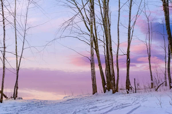 Βουνά Χειμώνας Όπου Μπορείτε Απολαύσετε Χειμώνα Idyll Ηρεμία Και Ησυχία — Φωτογραφία Αρχείου