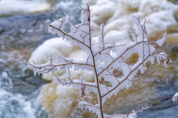 Río Congela Invierno Verdadero Cuento Hadas Invierno Cuando Este Maravilloso — Foto de Stock