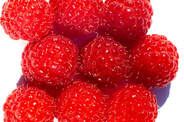 Raspberry Time Rejoice Finally Raspberry Season Something Magical Little Gem — Stock Photo, Image
