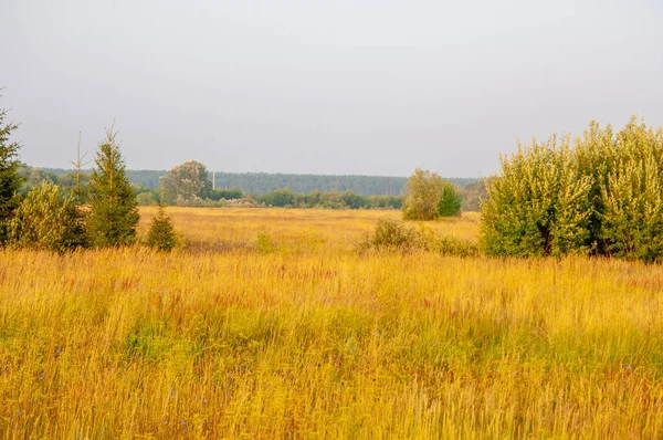 stock image Morning summer, summer landscape photo, cloudy sky, light fog, Europe, middle band