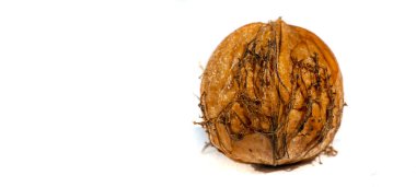 Ceviz. Eğer bir fincan ceviz yapamıyorsan, ruhun yoktur.