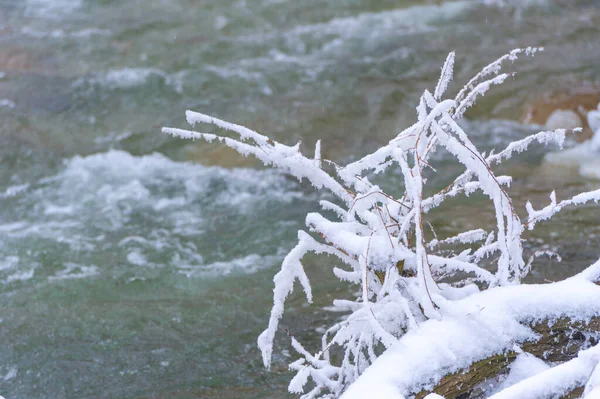 冬は川が凍る 凍った川を体験する最も簡単な方法は 氷の上を歩くことです 必ず確認する必要があります 訪問者のために これを行うための最良の方法は 地元の人と相談することです — ストック写真