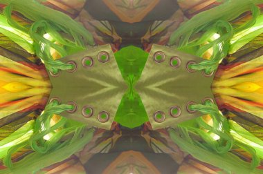 Kusursuz bir şekilde. yeşil sarı kırmızı kumaş işlemeli bitki ve bitki örtüsü. Elbise. Hiçbir şey bir kadını güzel olduğuna inanmaktan daha güzel yapamaz..