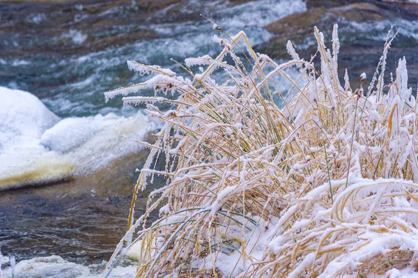 冬は川が凍る 森の中で私の好きな冬の川の沈黙は魔法のように 風の音だけで ストリームを実行して まだ生きて 水の下で壊れていた 雪と氷 — ストック写真