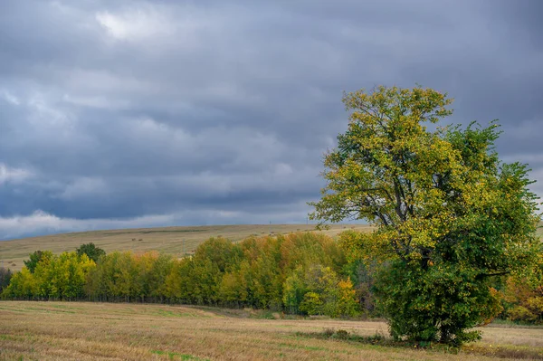 Autumn Landscape Photo Mixed Forests Meadows Ravines Cloudy Sky Wonderful — Stock Photo, Image