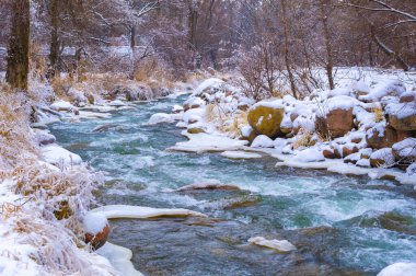 Nehir kışın donar. Yerel nehrimizle geçen kışın en sevdiğim kısmı sislerin süzülüp etraftaki ormanı kaplaması. Yumuşak, gizemli ama huzur verici bir yer yaratıyor..