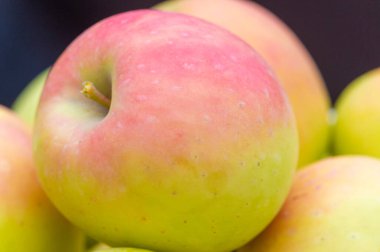 Beyaz arka planda elma. Elmalar çok çeşitli sağlık faydaları sağlayan besleyici bir güç kaynağıdır. Kalorileri düşük ve lifleri yüksek. Vitamin ve mineraller için mükemmel bir kaynak..