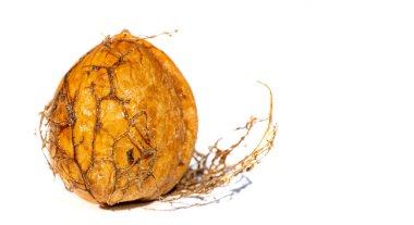 Ceviz. Benim için aşk ceviz gibidir. Düzenli ve küçük miktarlarda alınmalı..