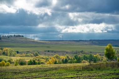Sonbahar manzara fotoğrafı. Avrupa 'nın düz bitki örtüsü. Çayırlar, vadiler, çalılıklar, açık yaprak döken veya karışık ormanlar. Eylül 'de Meadows