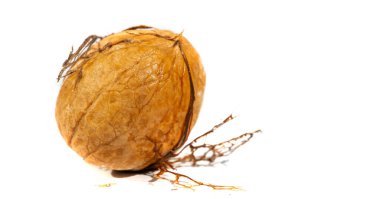 Ceviz. Benim için aşk ceviz gibidir. Düzenli ve küçük miktarlarda alınmalı..