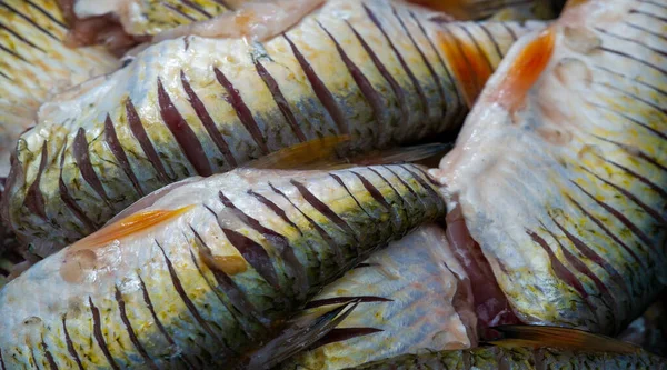 Pescado Está Listo Para Comer Los Pescados Grasos También Son —  Fotos de Stock