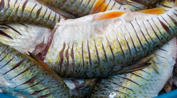 Ryby Jsou Připraveny Jídlu Jedná Vodní Chladnokrevné Obratlovce Žijící Jak — Stock fotografie