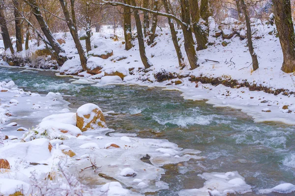 Río Congela Invierno Río Favorito Invierno Silencio Bosque Era Mágico — Foto de Stock