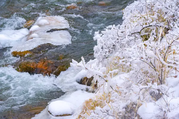Зимой Река Замерзает Моя Любимая Часть Зимы Нашей Местной Рекой — стоковое фото