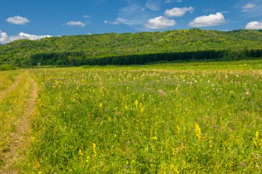 Fotoğraflarınızdaki baharın güzelliğini yakalayın çayırları, tarlaları, vadileri, tepeleri ve kırsal alanları keşfedin derin vadiler gibi gizli mücevherleri keşfedin. Doğal olarak yükseltilmiş toprak parçalarının çarpıcı fotoğraflarını çek..