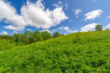 İlkbahar manzaralarının büyüleyici ve büyüleyici fotoğrafları doğal güzelliklerinde çayır sularını, selleri ve vadileri gösteriyor.
