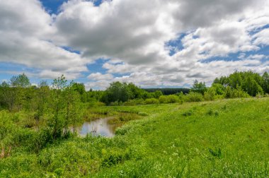 İlkbahar manzaralarının büyüleyici ve büyüleyici fotoğrafları doğal güzelliklerinde çayır sularını, selleri ve vadileri gösteriyor.