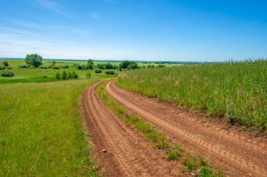 Yaz manzarası, kara topraktan toprak yol, mavi bulutsuz gökyüzü, yeşil buğday, Avrupa 'da bir yürüyüş.