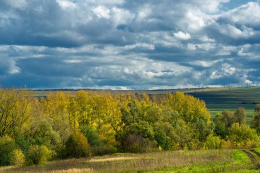 Sonbahar manzara fotoğrafı. Avrupa 'nın düz bitki örtüsü. Çayırlar, vadiler, çalılıklar, açık yaprak döken veya karışık ormanlar. Eylül 'de Meadows