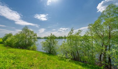 Bahar fotoğrafı, söğüt ağacı, parlak yeşillik, bulutlu mavi gökyüzü, harika bahar havası.