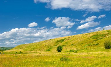 Yaz manzarası, nehir taşkınları, pitoresk kıyılar, kır çiçekli parlak yeşil çimenler, beyaz bulutlu mavi gökyüzü, ılık yaz günleri.,