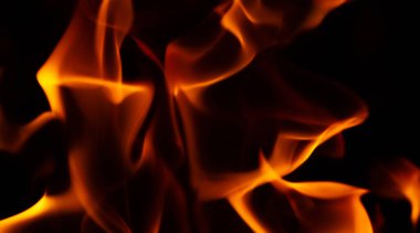 Ateşle. Yangın dünyadaki ekolojik sistemleri etkileyen önemli bir süreçtir. Olumlu etkiler arasında büyümenin teşvik edilmesi ve çeşitli ekolojik sistemlerin korunması yer alıyor