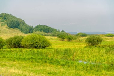 Yaz fotoğrafı. Nehir kıyısı, nehir ya da göl boyunca ya da aşağısı.