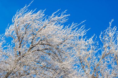 Dağlar. Kış. Huzur ve sessizlik içinde kışın tadını çıkarabileceğiniz bir yer. Sadece fotoğraflarımda. Manzaralara bakan tenha bir yer. Tasasız bir tatil için ideal koşullar..