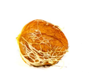 Ceviz. Her zaman siyah ceviz yiyebilirim, haftanın tadı değil.!