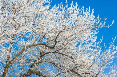 Dağlar. Kış. Güzel dağlara ve güzel kış manzaralarına bakmaktan daha romantik bir şey yoktur! Bu muhteşem manzaralar nefes kesici bir kar tabakasıyla kaplıdır..
