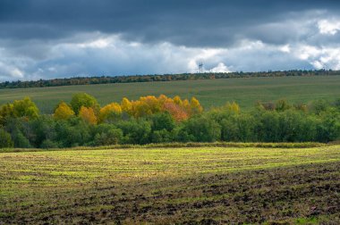 Sonbahar manzara fotoğrafı. Avrupa 'nın düz bitki örtüsü. Çayırlar, vadiler, çalılıklar, açık yaprak döken veya karışık ormanlar. Eylül 'de Meadows