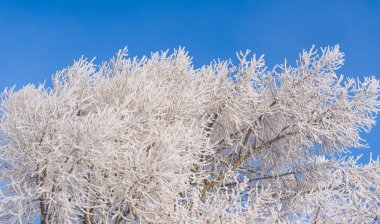 Dağlar. Kış. Biraz önyargılı olabilirim ama kışın dağlardan daha romantik yerler olduğunu sanmıyorum. Karla kaplanmış, bunlar görkemli zirveler, tadını çıkarmanız için..