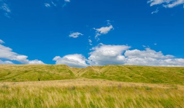Yaz manzarası, nehir taşkınları, pitoresk kıyılar, kır çiçekli parlak yeşil çimenler, beyaz bulutlu mavi gökyüzü, ılık yaz günleri.,