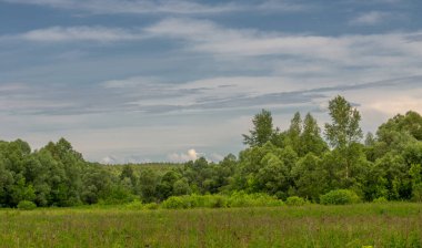 Yaz manzarası, gök gürültülü bulutlar, mavi gökyüzü, sel basmış çayır tarlaları, yaz renklerinin kokusu ve çeşitli kır çiçekleri.