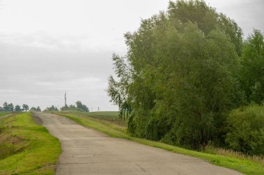 Yaz manzarası, yerel yol, Ağustos sonu. Dünyanın Avrupalı parçası