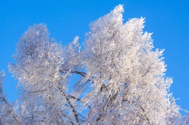 Dağlar. Kış. Güzel dağlara ve güzel kış manzaralarına bakmaktan daha romantik bir şey yoktur! Bu muhteşem manzaralar nefes kesici bir kar tabakasıyla kaplıdır..